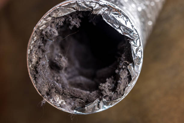 Best Air Duct Cleaning Near Me in Hamilton, MO